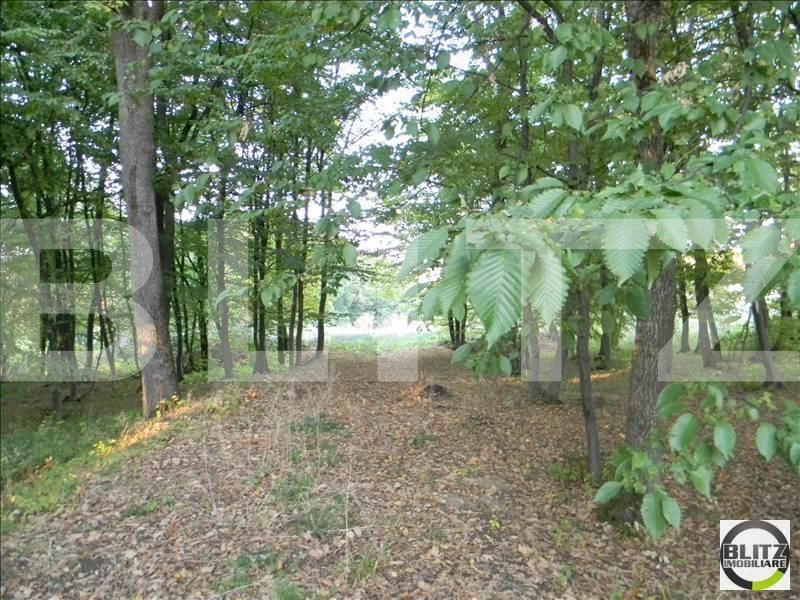 Teren de vânzare Făget - 22909TV | BLITZ Cluj-Napoca | Poza4