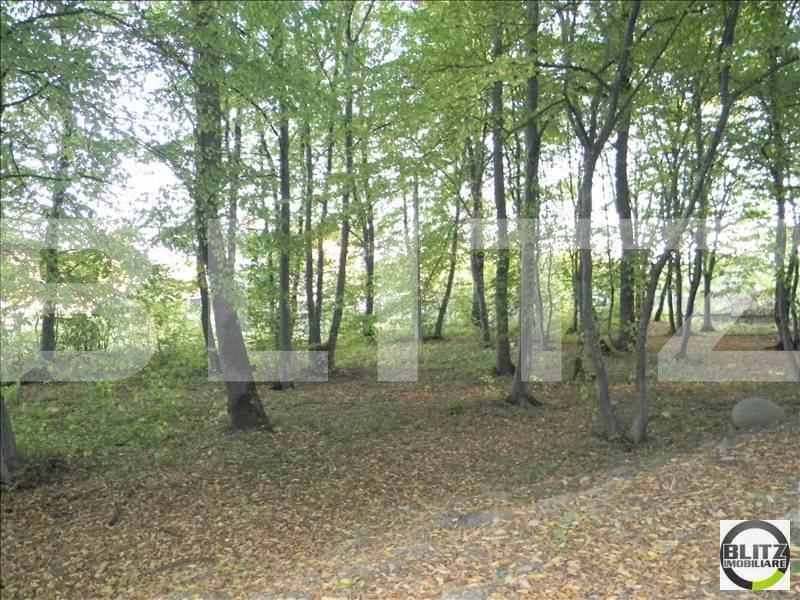 Teren de vânzare Făget - 22909TV | BLITZ Cluj-Napoca | Poza10