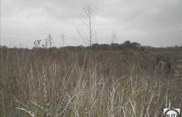 Teren de vanzare, 700 mp, front stradal de 38 ml, utilitati in apropiere!