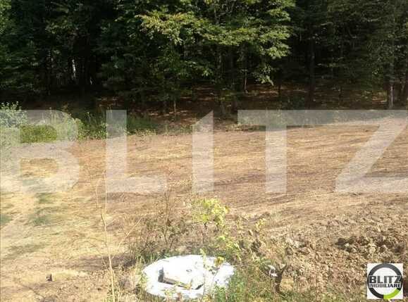 Teren de vânzare Făget - 22915TV | BLITZ Cluj-Napoca | Poza4