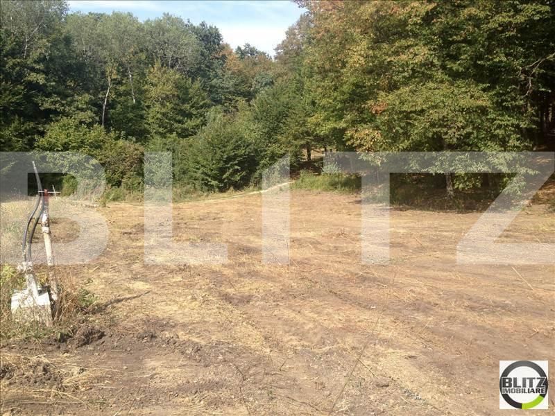 Teren de vânzare Făget - 22915TV | BLITZ Cluj-Napoca | Poza2