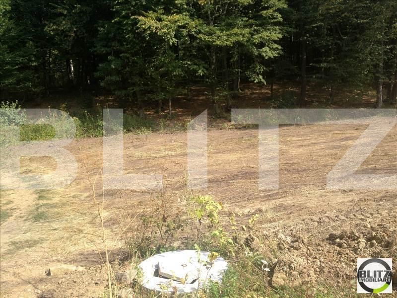 Teren de vânzare Făget - 22915TV | BLITZ Cluj-Napoca | Poza4