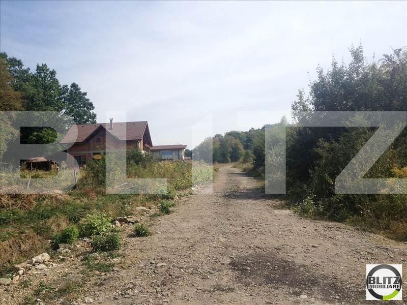Teren de vânzare Făget - 22915TV | BLITZ Cluj-Napoca | Poza3