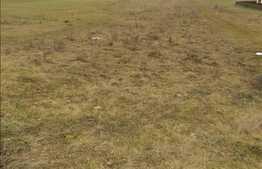 Vanzare teren cu 700 mp, front de 35 ml, zona Sub Cetate!