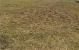 Vanzare teren cu 700 mp, front de 35 ml, zona Sub Cetate!