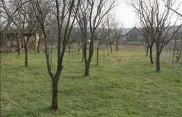 Teren de vanzare in zona Iazului cu 1262 mp!