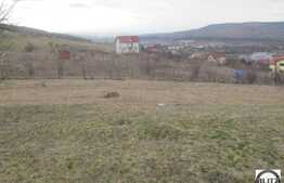 Teren de vanzare cu 10000 mp, zona strazii E60