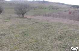 Teren de vanzare cu 10000 mp, zona strazii E60