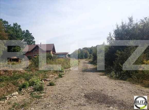 Teren de vânzare Făget - 22924TV | BLITZ Cluj-Napoca | Poza7