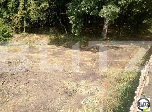 Teren de vânzare Făget - 22924TV | BLITZ Cluj-Napoca | Poza2