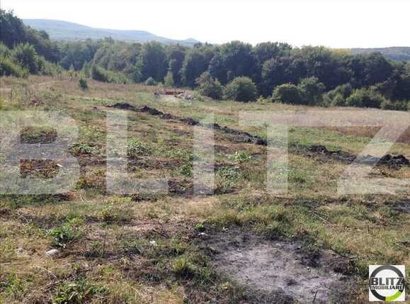 Teren de vânzare Făget - 22924TV | BLITZ Cluj-Napoca | Poza6