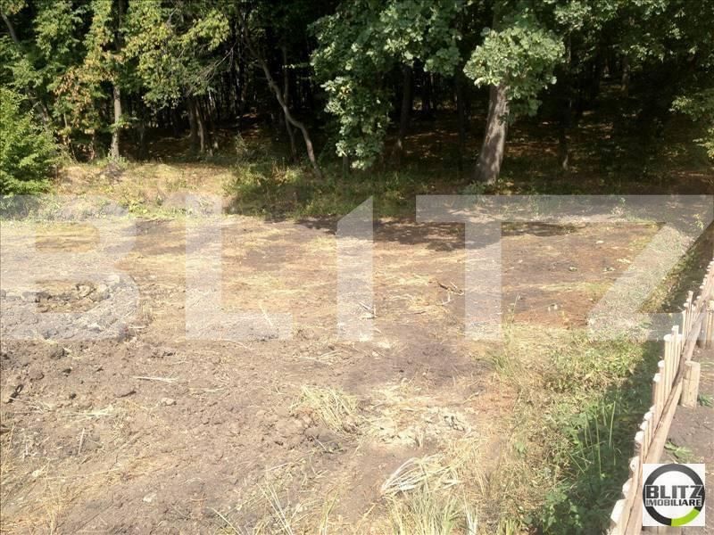 Teren de vânzare Făget - 22924TV | BLITZ Cluj-Napoca | Poza2