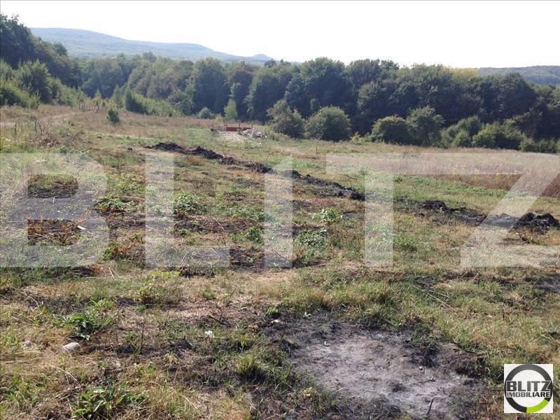 Teren de vânzare Făget - 22924TV | BLITZ Cluj-Napoca | Poza6