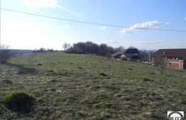 Teren de vanzare 2900 mp in Faget, zona bisericii