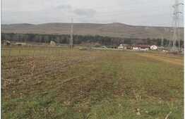 Vanzare teren cu 2880 mp, toate utilitatile incluse! Zona Iazului!