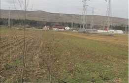 Vanzare teren cu 2880 mp, toate utilitatile incluse! Zona Iazului!