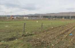 Vanzare teren cu 2880 mp, toate utilitatile incluse! Zona Iazului!