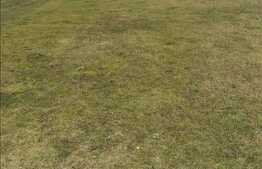 Vanzare teren cu 1700 mp, front de 42 ml in zona Dumitru Mocanu!