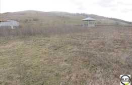 Vanzare teren cu 5000 mp,  la cateva minute de Polus Center!