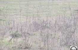 Teren de vanzare in zona strazii Florilor cu 1400 mp!