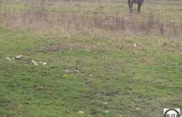 Teren de vanzare in zona strazii Florilor cu 1400 mp!