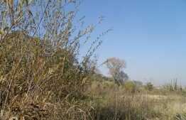 Teren de vanzare, 2850 mp, front la 2 strazi de 20 ml, zona Buna Ziua!