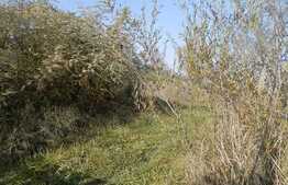 Teren de vanzare, 2850 mp, front la 2 strazi de 20 ml, zona Buna Ziua!