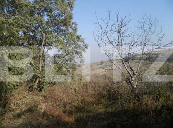 Teren de vânzare Bună Ziua - 22931TV | BLITZ Cluj-Napoca | Poza1