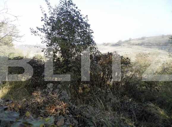 Teren de vânzare Bună Ziua - 22931TV | BLITZ Cluj-Napoca | Poza2