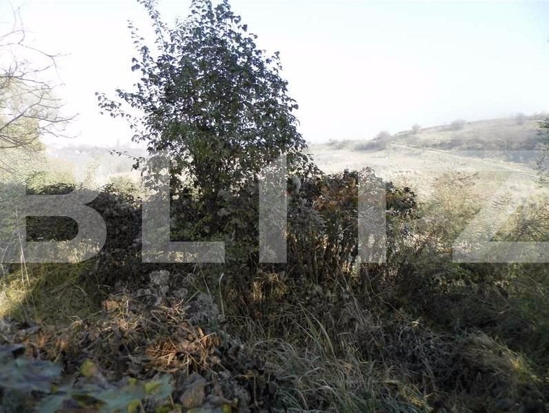 Teren de vânzare Bună Ziua - 22931TV | BLITZ Cluj-Napoca | Poza2