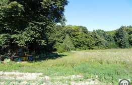 5200 mp in zona deosebita, Faget! Ideal complex de case!Oportunitate investitie!