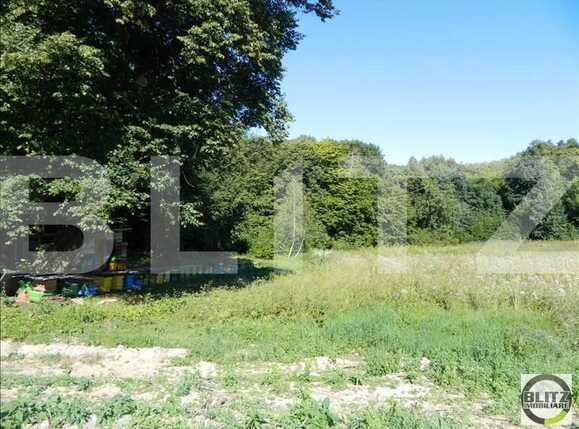 Teren de vânzare Făget - 22934TV | BLITZ Cluj-Napoca | Poza5