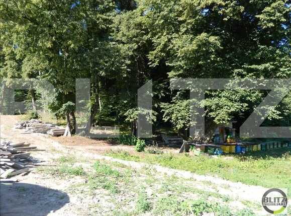 Teren de vânzare Făget - 22934TV | BLITZ Cluj-Napoca | Poza3