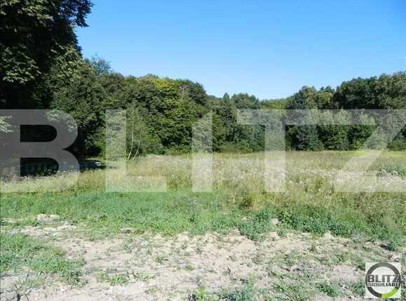 Teren de vânzare Făget - 22934TV | BLITZ Cluj-Napoca | Poza4