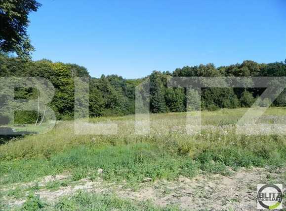 Teren de vânzare Făget - 22934TV | BLITZ Cluj-Napoca | Poza6