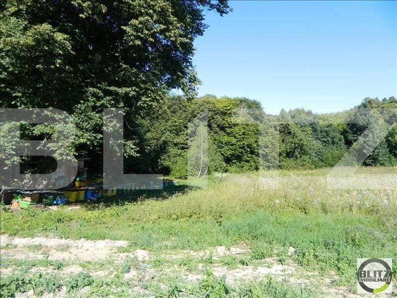 Teren de vânzare Făget - 22934TV | BLITZ Cluj-Napoca | Poza5