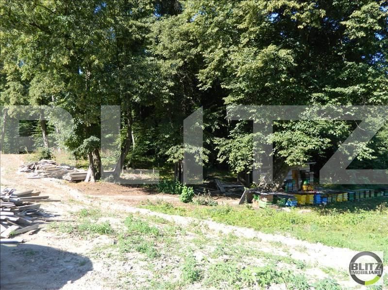Teren de vânzare Făget - 22934TV | BLITZ Cluj-Napoca | Poza3