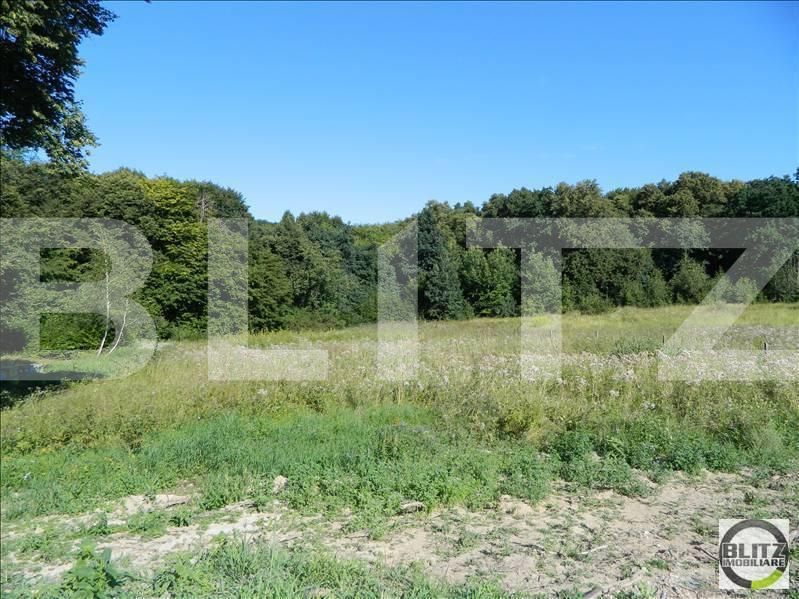 Teren de vânzare Făget - 22934TV | BLITZ Cluj-Napoca | Poza6