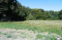 Oportunitate! Locatie exclusivista in Faget! 830 mp cu front 18 ml