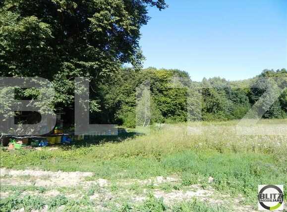 Teren de vânzare Făget - 22935TV | BLITZ Cluj-Napoca | Poza2