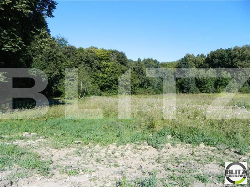 Teren de vânzare Făget - 22935TV | BLITZ Cluj-Napoca | Poza5