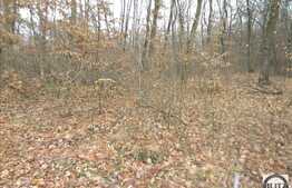 Vanzare teren cu 480 mp in zona ANL la pret oportun!