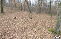 Vanzare teren cu 480 mp in zona ANL la pret oportun!