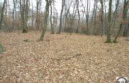 Vanzare teren cu 480 mp in zona ANL la pret oportun!