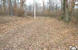 Vanzare teren cu 480 mp in zona ANL la pret oportun!