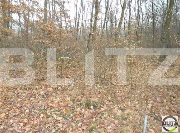 Teren de vânzare Floreşti - 22936TV | BLITZ Cluj-Napoca | Poza3
