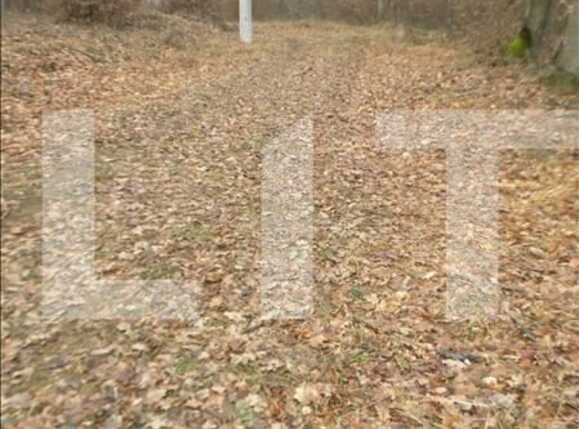 Teren de vânzare Floreşti - 22936TV | BLITZ Cluj-Napoca | Poza2