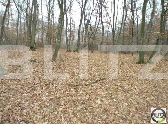 Teren de vânzare Floreşti - 22936TV | BLITZ Cluj-Napoca | Poza5