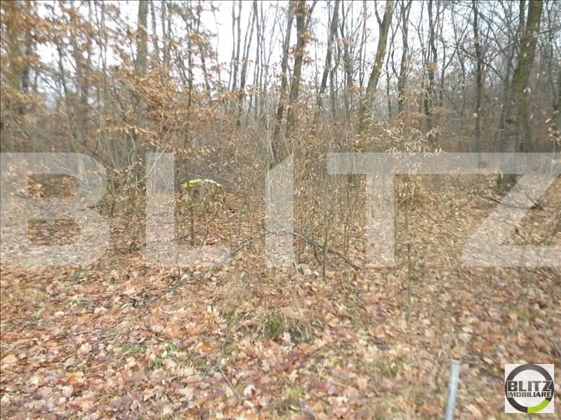 Teren de vânzare Floreşti - 22936TV | BLITZ Cluj-Napoca | Poza3