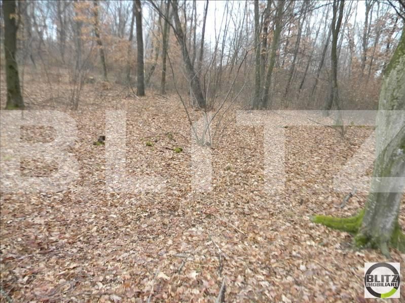 Teren de vânzare Floreşti - 22936TV | BLITZ Cluj-Napoca | Poza4